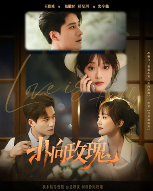 扑向玫瑰（77集）免费观看完整版