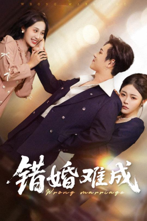 错婚难成（45集）直接看到大结局