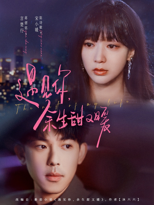 遇见你余生甜又暖(70集) 遇见你余生甜又暖(70集)爆火短剧追不停