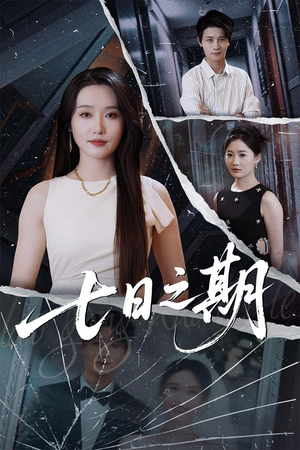七日之期(90集) 七日之期(90集)无需充值尽情看