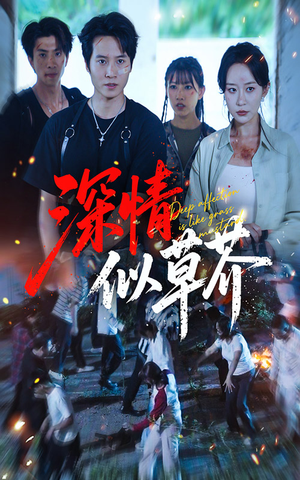 深情似草芥（51集）全季一次看完