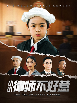 小小律师不好惹（82集）火爆短剧推荐
