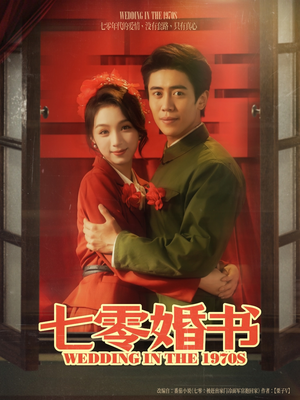 七零婚书(67集) 七零婚书(67集)免费观看完整版