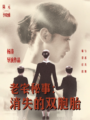 老宅秘事消失的双胞胎（90集）好看短剧抢先看