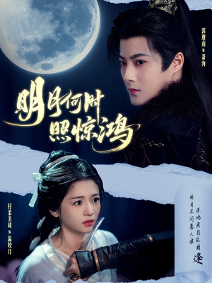 明月何时照惊鸿（80集）番茄短剧看全集