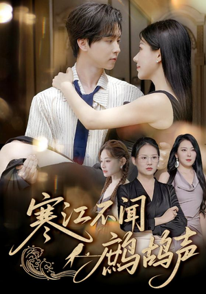 寒江不闻鹧鸪声（55集）火爆短剧推荐