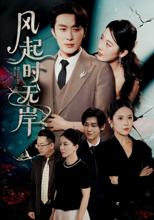 风起时无岸（58集）UC网盘在线看