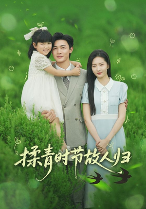 揉青时节故人归（60集）一口气看完