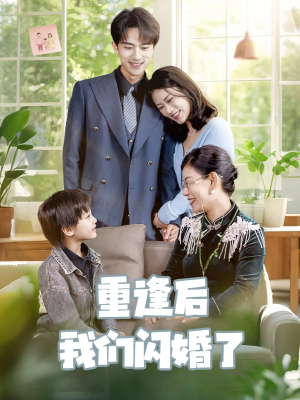 重逢后我们闪婚了（35集）追短剧看全集