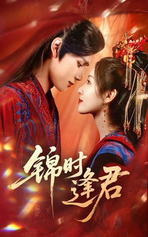 锦时逢君(55集) 锦时逢君(55集)经典老剧免费看