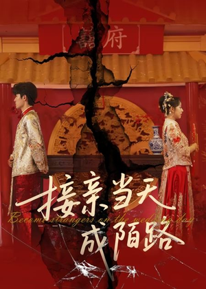 接亲当天成陌路（50集）常回家看看短剧