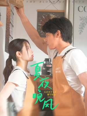 夏夜晚风(12集) 夏夜晚风(12集)短剧太精彩