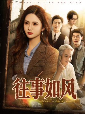 往事如风（61集）热门短剧大全