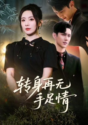 转身再无手足情（71集）精彩短剧免费看