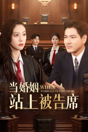 当婚姻站上被告席（30集）每日短剧分享