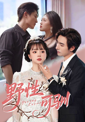 野性可驯（63集）甜宠短剧追到爽