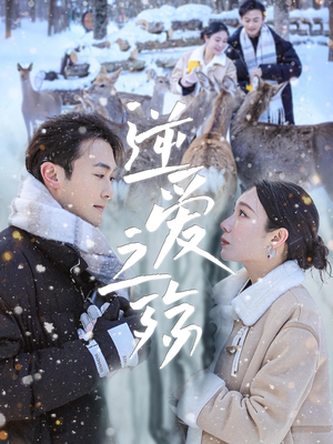 逆爱之殇（60集）海量资源免费看