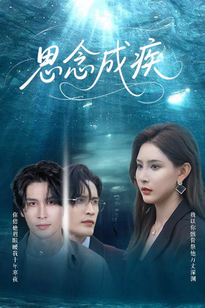 思念成疾（60集）评价怎么样