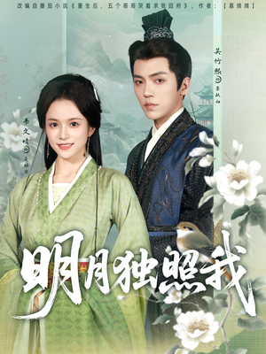 明月独照我（80集）在哪个app能看