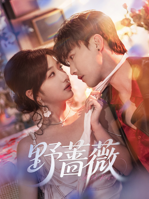 野蔷薇（60集）第32集