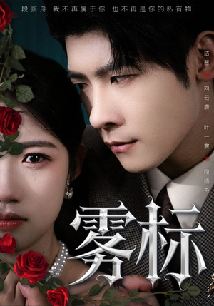 雾标（70集）免费在线看全集