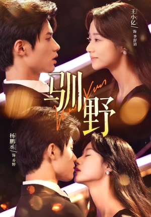 驯野（77集）看精彩短剧