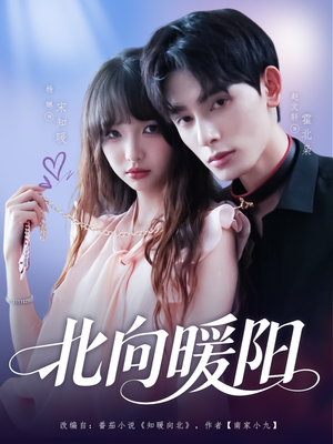 北向暖阳(80集) 北向暖阳(80集)全集一次看完