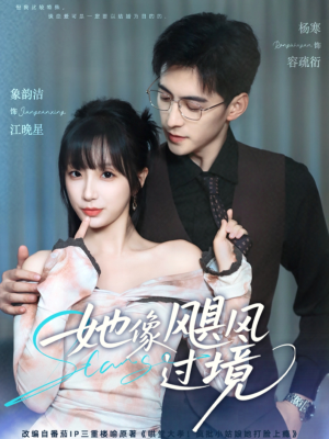 她像飓风过境（81集）全集免费看短剧