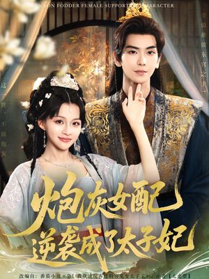 炮灰女配逆袭成了太子妃(82集) 炮灰女配逆袭成了太子妃(82集)解说