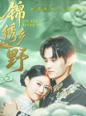 锦绣乡野（42集）高清无码免费看