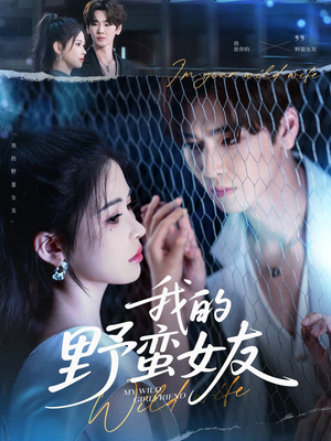 我的野蛮女友(80集) 我的野蛮女友(80集)全集