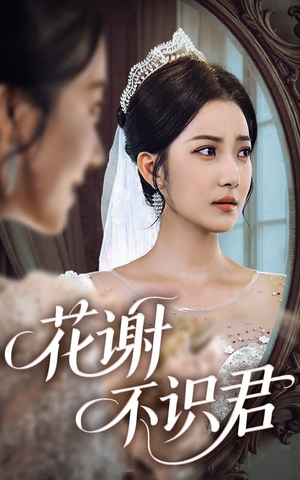花谢不识君（40集）最火的短剧