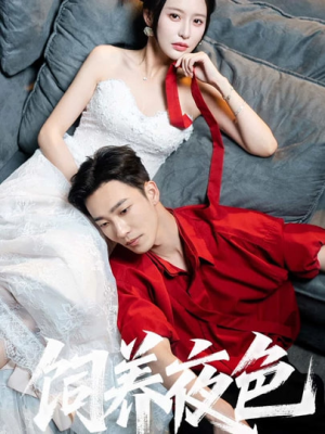 饲养夜色（86集）短剧精彩推荐