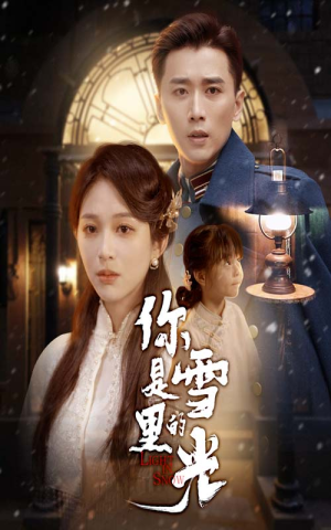 你是雪里的光（64集）口碑之选免费看