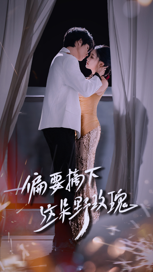 偏要摘下这朵野玫瑰（60集）精彩连连免费看