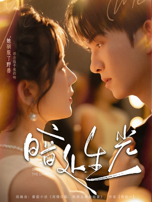 暗处生光（82集）热门爆款短剧