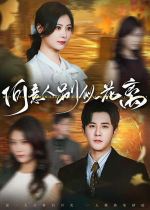 何意人别似花离（61集）免费在线看全集