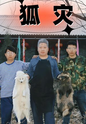 狐灾（25集）恋爱短剧分享