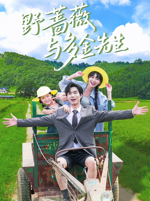 野蔷薇与多金先生（63集）第二季