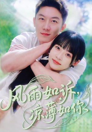 风雨如诉凉薄如你（70集）网盘在线观看
