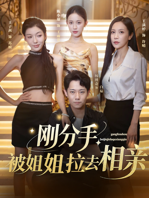 分手被姐姐拉去相亲（73集）短剧追到爽