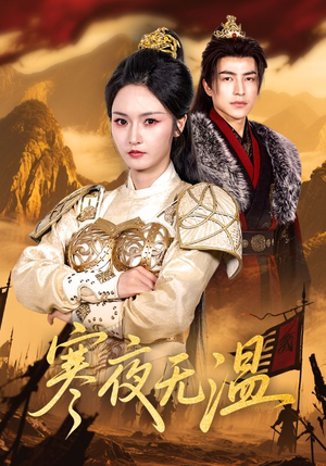 寒夜无温（63集）80到100集