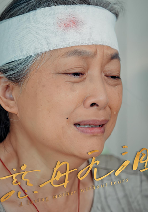 慈母无泪（30集）全剧免费观看