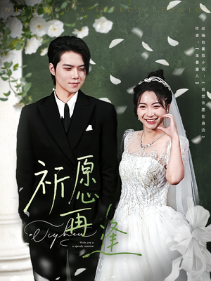 祈愿再逢（80集）热播短剧全集看