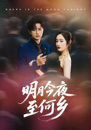 明月今夜至何乡（70集）大结局完美收官
