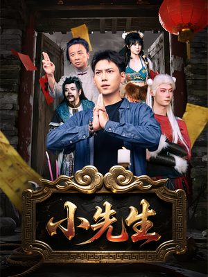 小先生（79集）悬疑短剧推荐