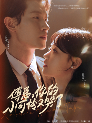 傅总你的小可怜又哭了(80集) 傅总你的小可怜又哭了(80集)短剧上头又好看