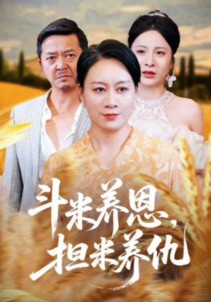 斗米养恩担米养仇（50集）短剧中追到爽