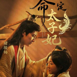 命定太子妃(63集) 命定太子妃(63集)大结局一气呵成