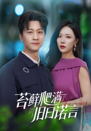 情途难负（83集）热播短剧排行榜